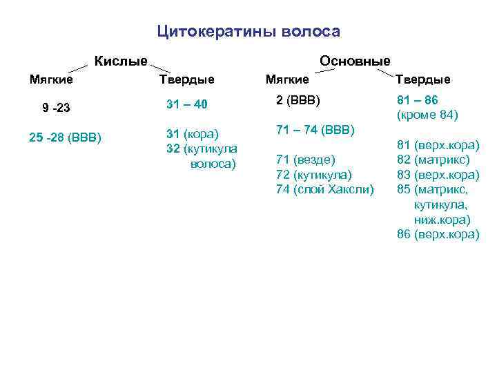 Цитокератины волоса Кислые Мягкие 9 -23 25 -28 (ВВВ) Основные Твердые Мягкие 31 –