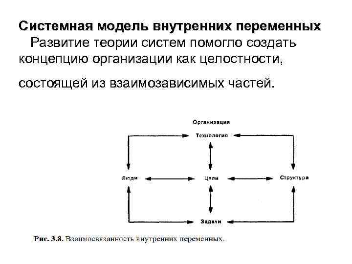 Системная модель внутренних переменных Развитие теории систем помогло создать концепцию организации как целостности, состоящей