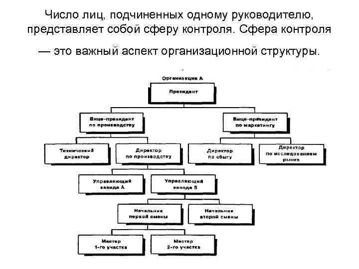 Число лиц, подчиненных одному руководителю, представляет собой сферу контроля. Сфера контроля — это важный