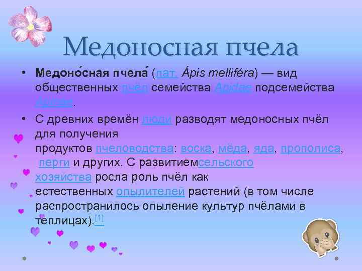 Медоносная пчела • Медоно сная пчела (лат. Ápis melliféra) — вид общественных пчёл семейства