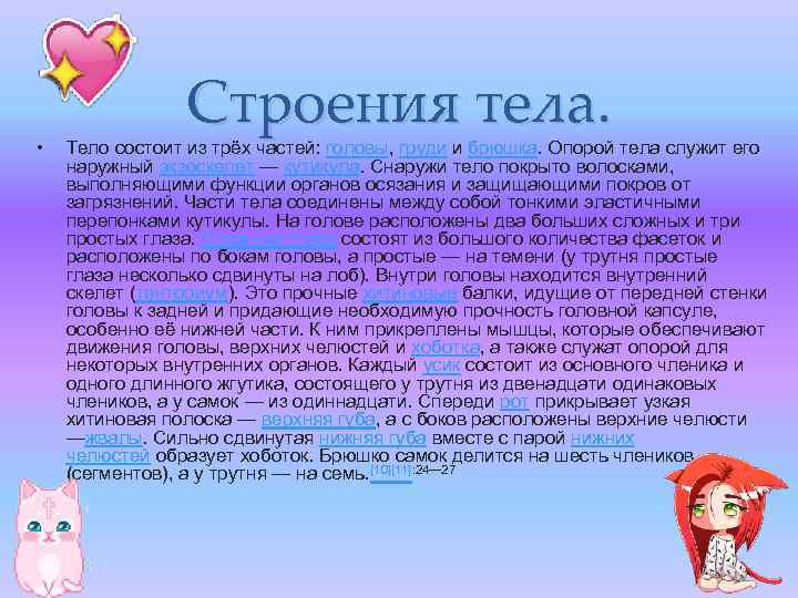  • Строения тела. Тело состоит из трёх частей: головы, груди и брюшка. Опорой