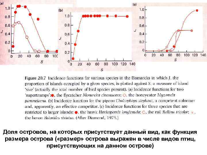 Доля островов, на которых присутствует данный вид, как функция размера острова ( «размер» острова