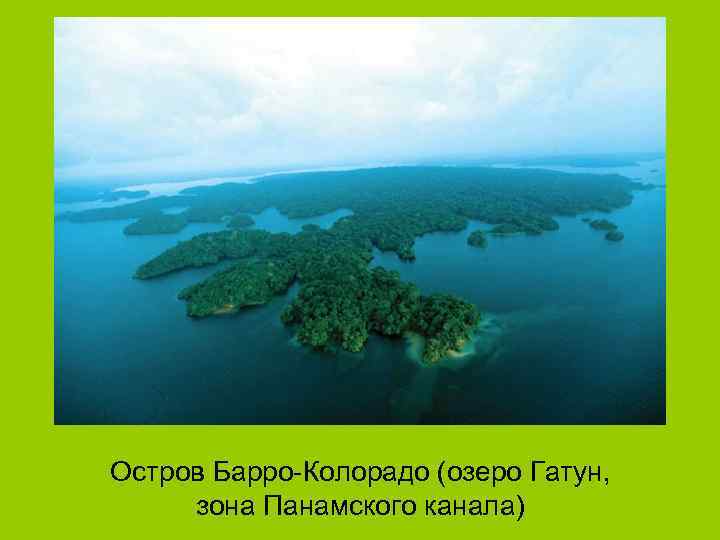 Остров Барро-Колорадо (озеро Гатун, зона Панамского канала) 