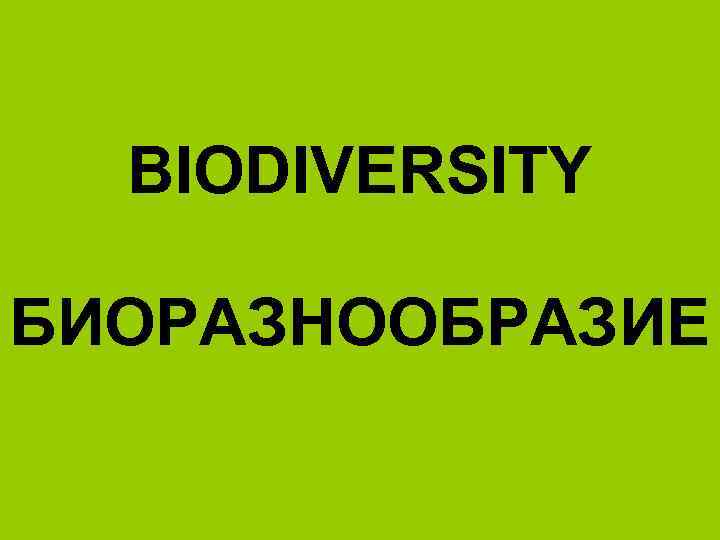 BIODIVERSITY БИОРАЗНООБРАЗИЕ 