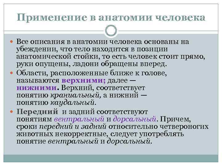 Применение в анатомии человека Все описания в анатомии человека основаны на убеждении, что тело