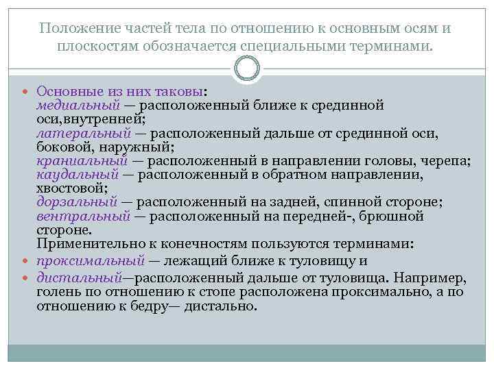 Положение частей тела по отношению к основным осям и плоскостям обозначается специальными терминами. Основные