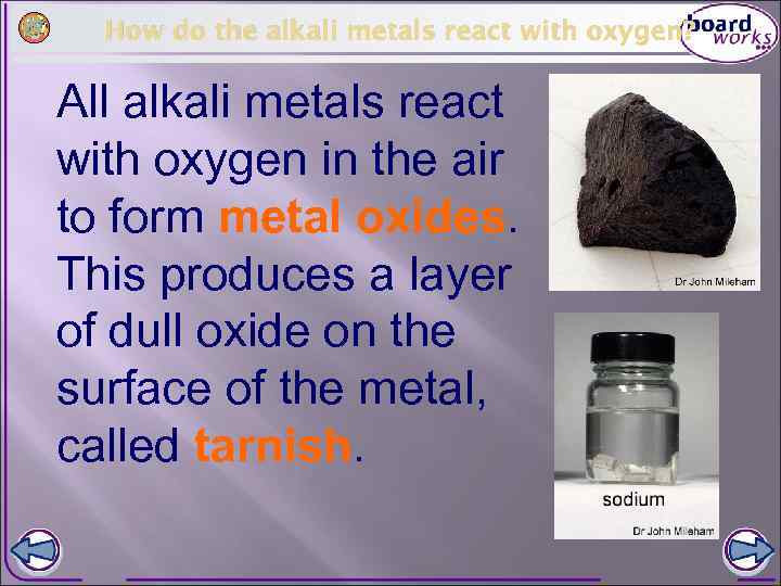 How do the alkali metals react with oxygen? All alkali metals react with oxygen