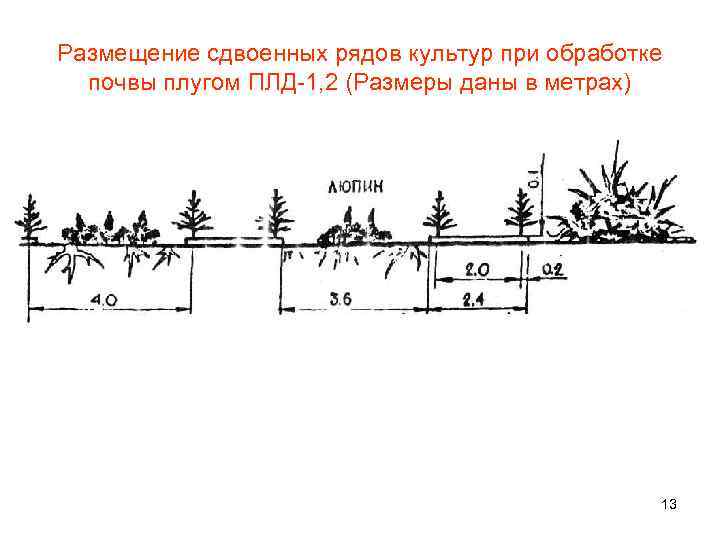 Размещение сдвоенных рядов культур при обработке почвы плугом ПЛД-1, 2 (Размеры даны в метрах)
