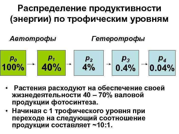 Распределение продуктивности (энергии) по трофическим уровням Автотрофы p 0 100% p 1 40% Гетеротрофы