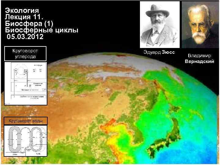 Экология Лекция 11. Биосфера (1) Биосферные циклы 05. 03. 2012 Круговорот углерода Круговорот воды