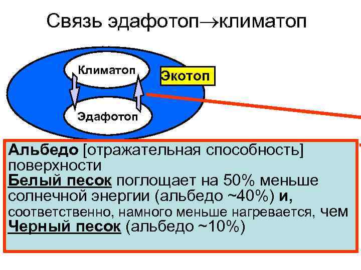 Связь эдафотоп климатоп Климатоп Экотоп Эдафотоп Альбедо [отражательная способность] поверхности Белый песок поглощает на