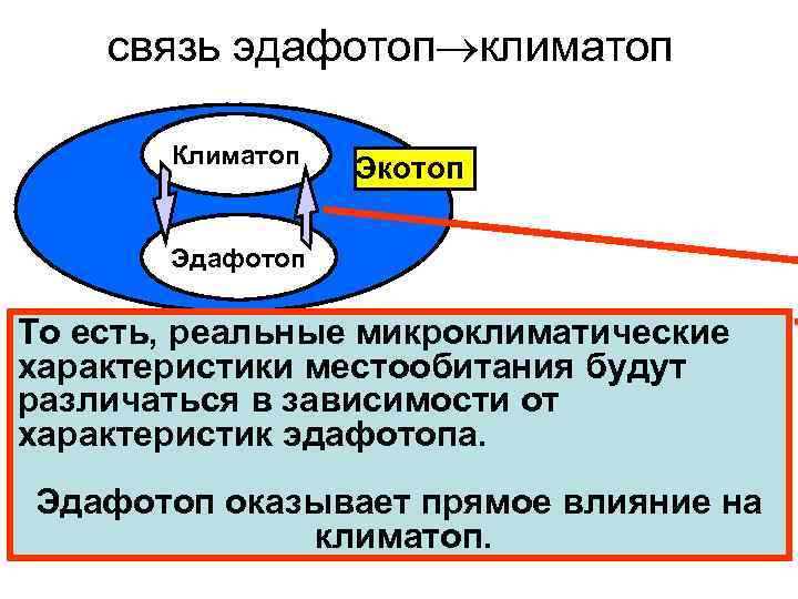 связь эдафотоп климатоп Климатоп Экотоп Эдафотоп То есть, реальные микроклиматические характеристики местообитания будут различаться