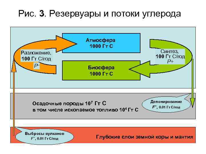 Рис. 3. Резервуары и потоки углерода Атмосфера 1000 Гт C Разложение, 100 Гт C/год