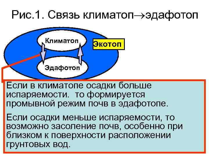 Рис. 1. Cвязь климатоп эдафотоп Климатоп Экотоп Эдафотоп Если в климатопе осадки больше испаряемости.