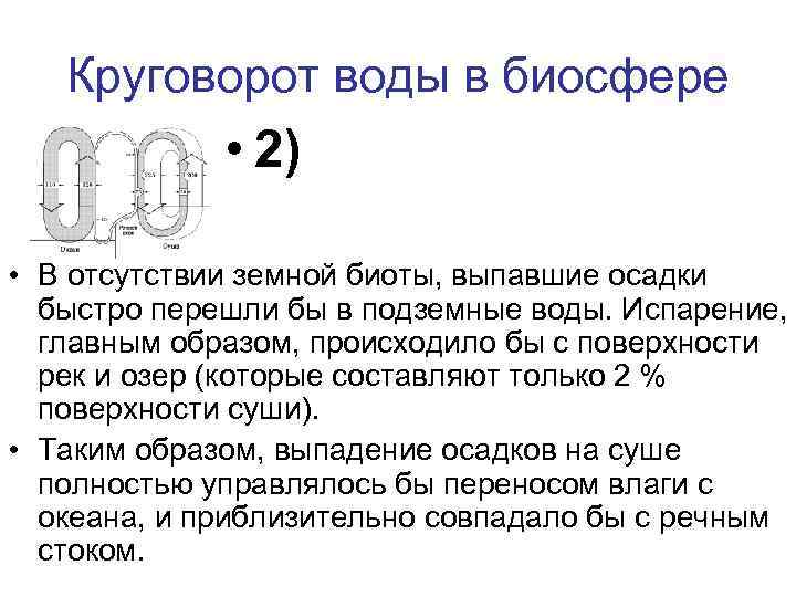 Круговорот воды в биосфере • 2) • В отсутствии земной биоты, выпавшие осадки быстро