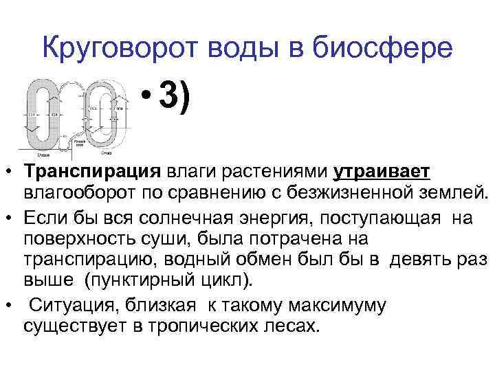 Круговорот воды в биосфере • 3) • Транспирация влаги растениями утраивает влагооборот по сравнению