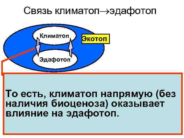 Связь климатоп эдафотоп Климатоп Экотоп Эдафотоп То есть, климатоп напрямую (без наличия биоценоза) оказывает