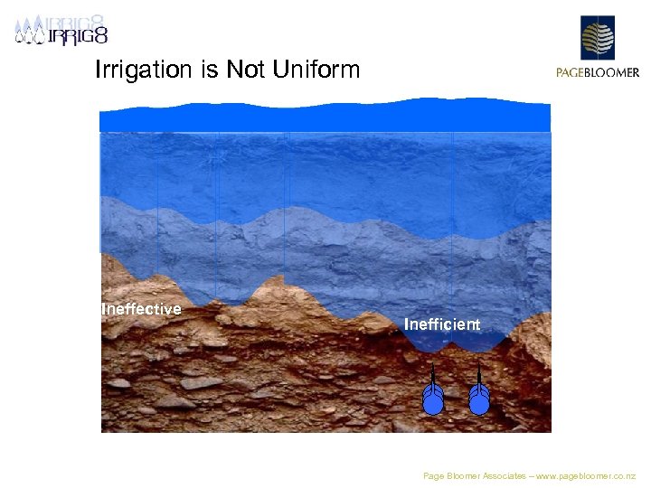 Irrigation is Not Uniform Ineffective Inefficient Page Bloomer Associates – www. pagebloomer. co. nz