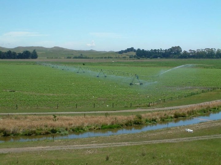 Page Bloomer Associates – www. pagebloomer. co. nz 