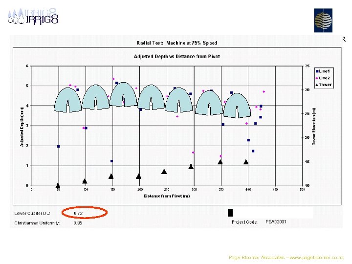 Page Bloomer Associates – www. pagebloomer. co. nz 