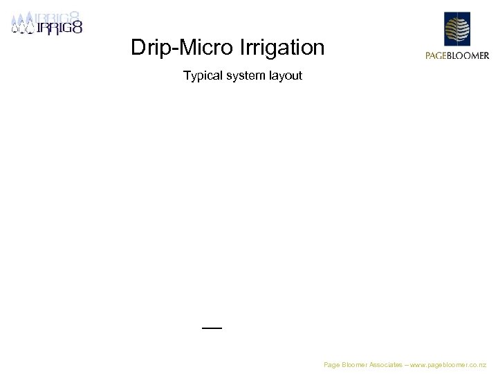 Drip-Micro Irrigation Typical system layout Page Bloomer Associates – www. pagebloomer. co. nz 