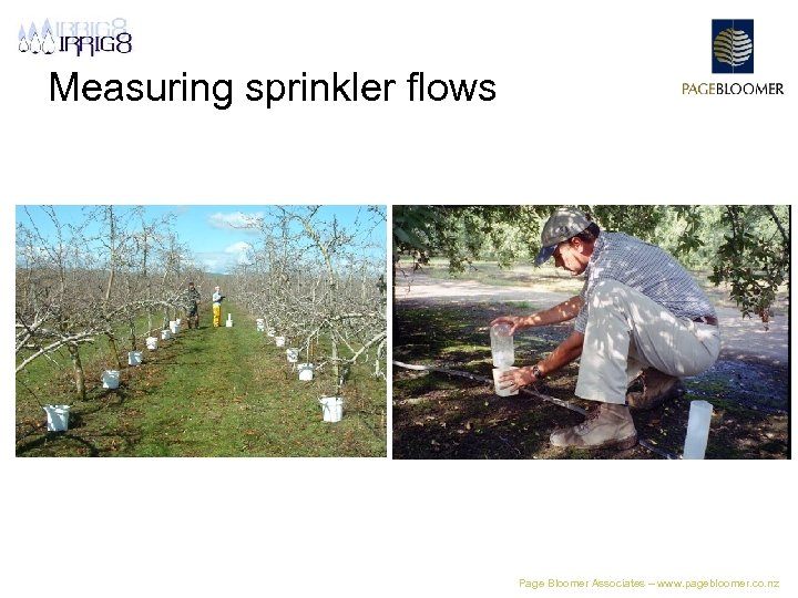 Measuring sprinkler flows Page Bloomer Associates – www. pagebloomer. co. nz 