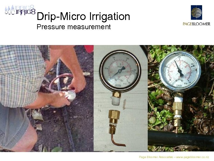 Drip-Micro Irrigation Pressure measurement Page Bloomer Associates – www. pagebloomer. co. nz 