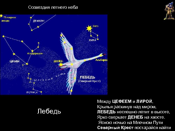 Созвездие осеннего неба рассказ. Созвездие лебедь схема для 2 класса. Созвездие лебедь окружающий мир. Созвездие лебедя на карте звездного неба. Созвездие лебедь Денеб.