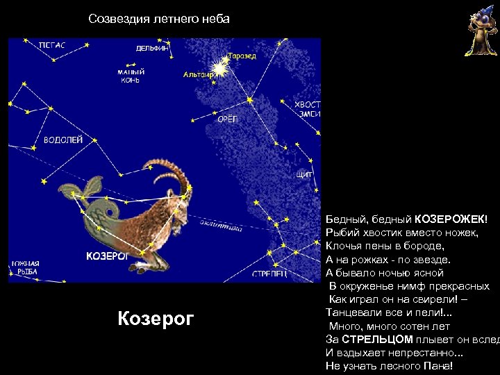 Козерог презентация. Созвездие Козерог Денеб звезда. Созвездие Козерог на карте звездного неба координаты.