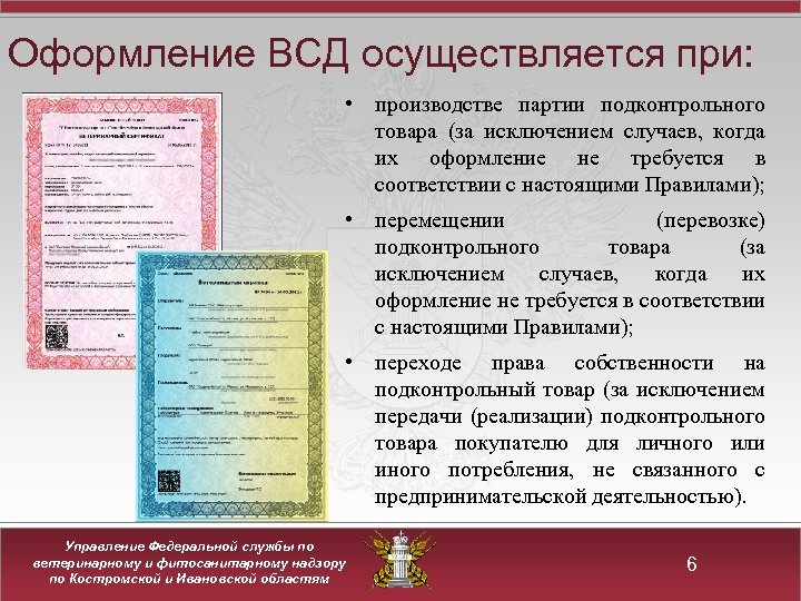 Возможна ли печать всд в состоянии проект