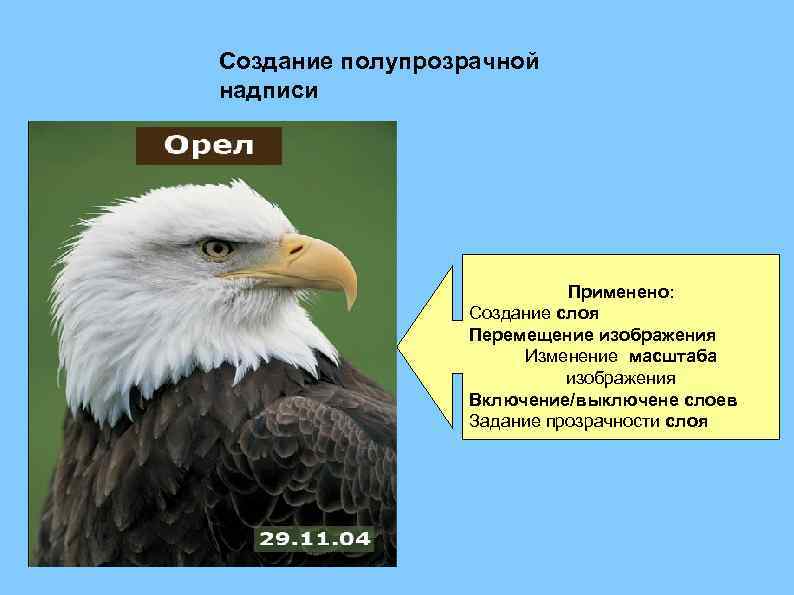 Создание полупрозрачной надписи Применено: Создание слоя Перемещение изображения Изменение масштаба изображения Включение/выключене слоев Задание