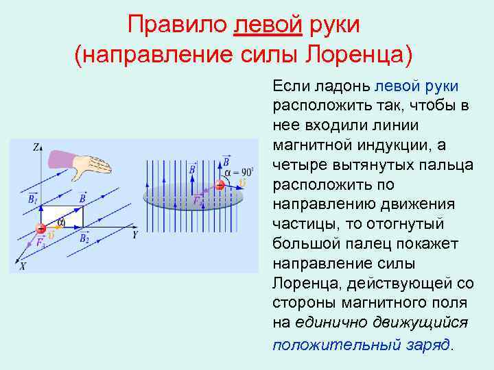 Правило левой руки (направление силы Лоренца) Если ладонь левой руки расположить так, чтобы в