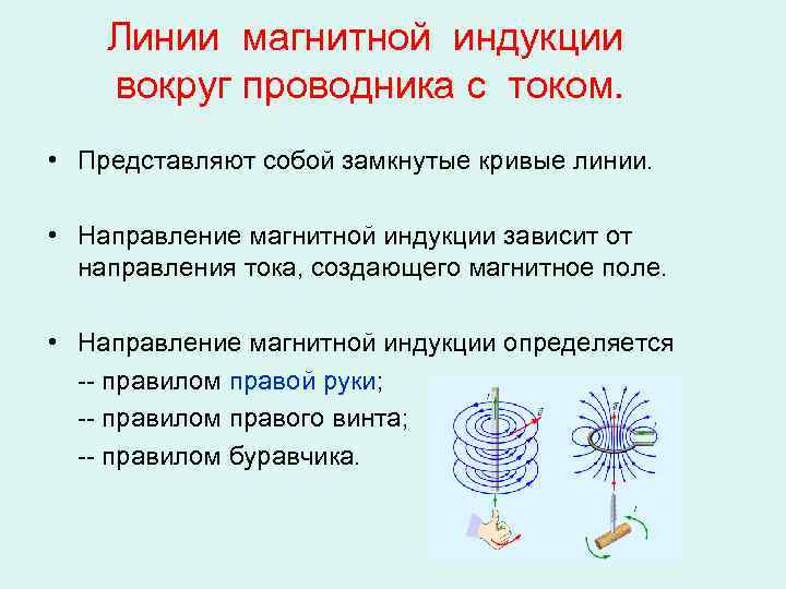 Линии магнитной индукции вокруг проводника с током. • Представляют собой замкнутые кривые линии. •