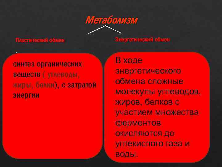 Метаболизм Пластический обмен Энергетический обмен . синтез органических веществ ( углеводы, жиры, белки), с