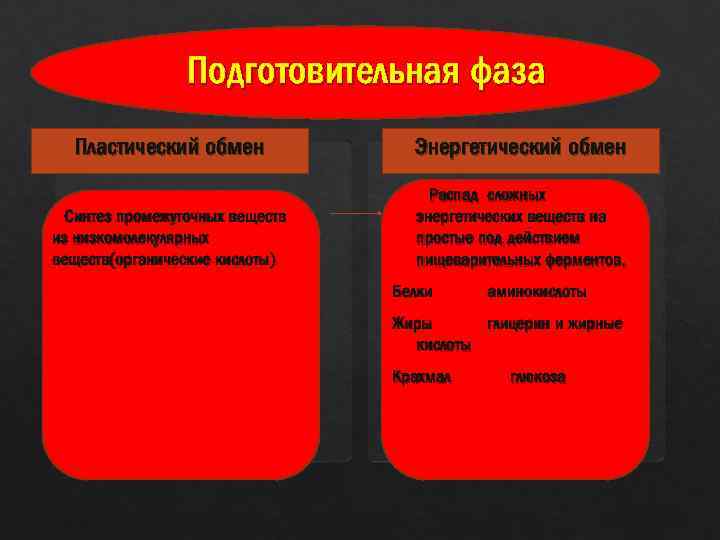 Подготовительная фаза Пластический обмен Энергетический обмен Синтез промежуточных веществ из низкомолекулярных веществ(органические кислоты) Распад