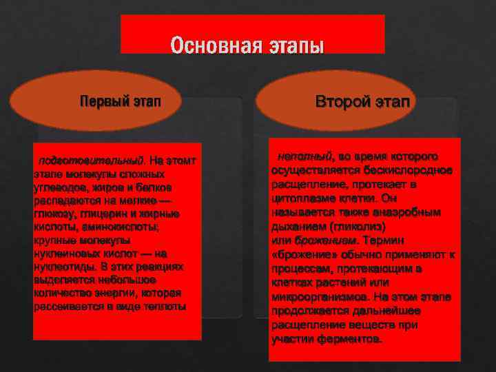 Основная этапы Первый этап подготовительный. На этомт этапе молекулы сложных углеводов, жиров и белков