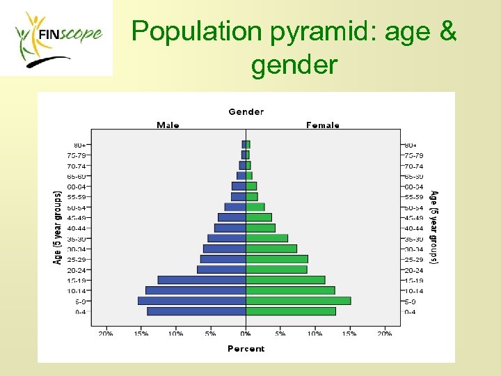 Population pyramid: age & gender 