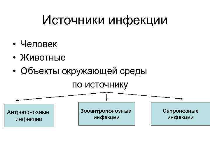 Источник инфекции