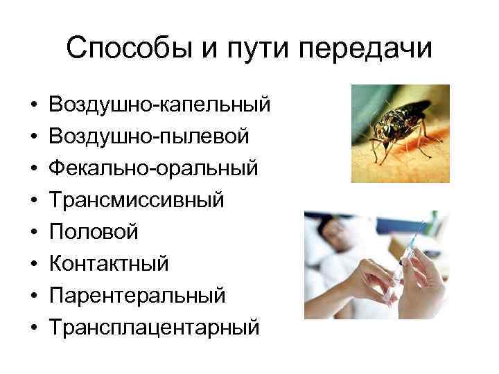 Способы и пути передачи • • Воздушно-капельный Воздушно-пылевой Фекально-оральный Трансмиссивный Половой Контактный Парентеральный Трансплацентарный