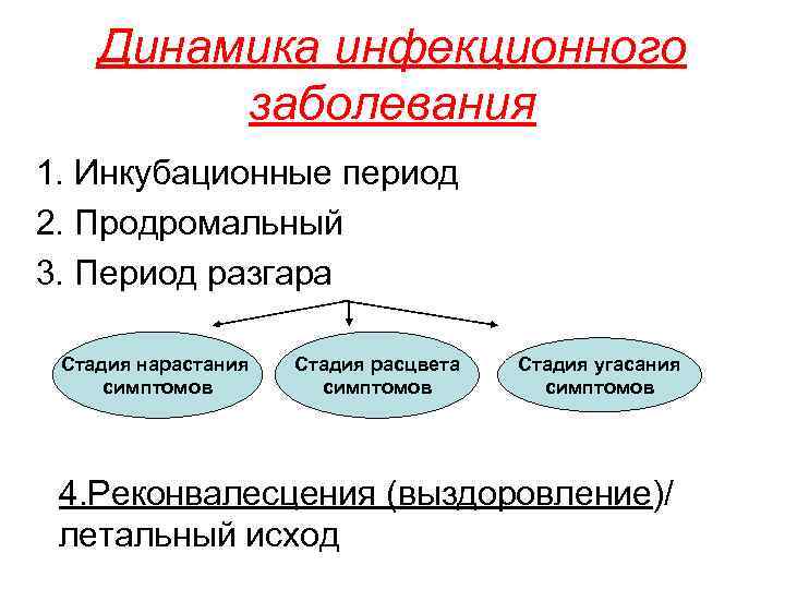 Динамика инфекционного заболевания 1. Инкубационные период 2. Продромальный 3. Период разгара Стадия нарастания симптомов