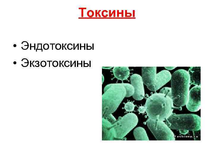 Токсины • Эндотоксины • Экзотоксины 