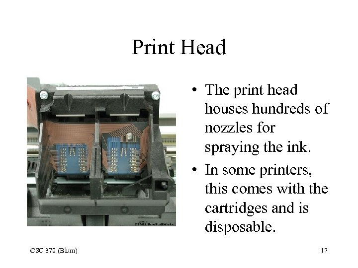 Print Head • The print head houses hundreds of nozzles for spraying the ink.