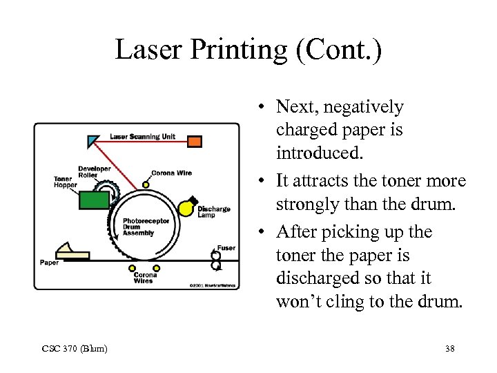 Laser Printing (Cont. ) • Next, negatively charged paper is introduced. • It attracts