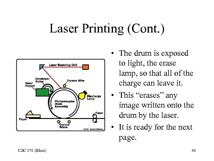Laser Printing (Cont. ) • The drum is exposed to light, the erase lamp,
