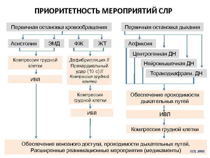 ПРИОРИТЕТНОСТЬ МЕРОПРИЯТИЙ СЛР Первичная остановка кровообращения Асистолия ЭМД ФЖ ЖТ Первичная остановка дыхания Асфиксия