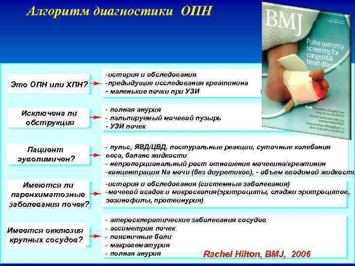 Алгоритм диагностики ОПН Это ОПН или ХПН? Исключена ли обструкция Пациент эуволимичен? -история и