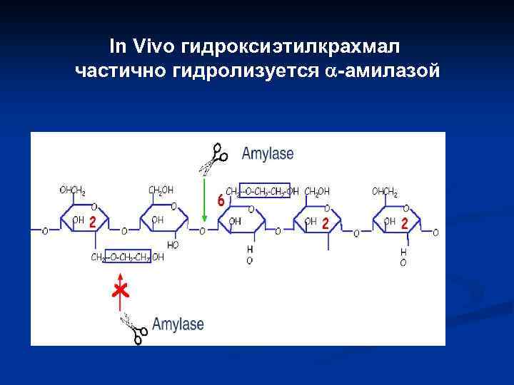In Vivo гидроксиэтилкрахмал частично гидролизуется a-амилазой 