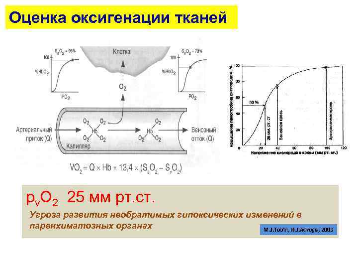 Оценка оксигенации тканей рv. О 2 25 мм рт. ст. Угроза развития необратимых гипоксических