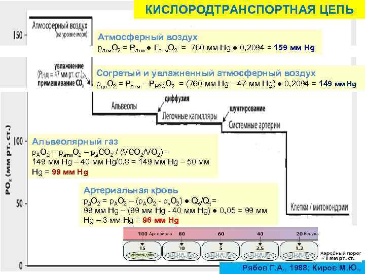 КИСЛОРОДТРАНСПОРТНАЯ ЦЕПЬ Атмосферный воздух ратм. О 2 = Ратм ● Fатм. О 2 =