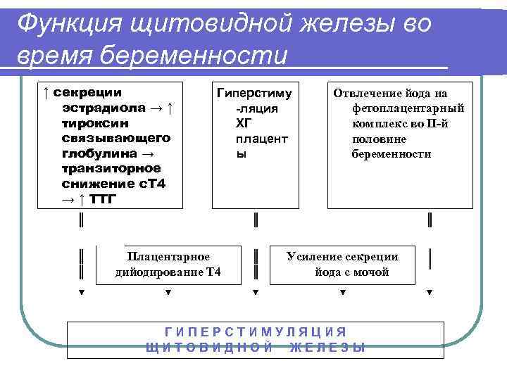 Функция щитовидной железы во время беременности ↑ секреции эстрадиола → ↑ тироксин связывающего глобулина